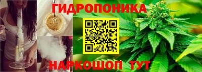 гидра Рязань