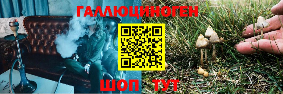 Галлюциногенные грибы ЛСД  Вход с VPN  Галлюциногенные грибы мухоморы  Алатырь 