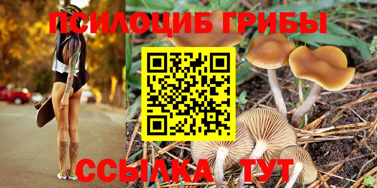 Псилоцибиновые грибы Cubensis Алатырь